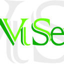 blog logo of VISE declares itself an artistic collective. VISE desires to rev