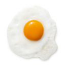 blog logo of EGG