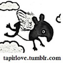  Tapirs are awesome!