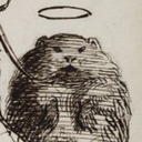 blog logo of the lady, no wombat