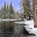 Birch Trees and Babbling Brooks