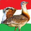 blog logo of Három a Magyar Igazság