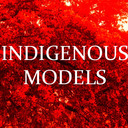 blog logo of INDIGENOUS MODELS