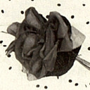 The Black Rose