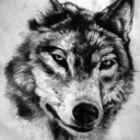 blog logo of wolf-wants-kitten