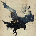 blog logo of Crazy Crow