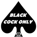 Black Cock Lover