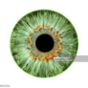 blog logo of Greeneyed