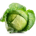 the-savage-cabbage