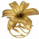 blog logo of The Gilded Lily