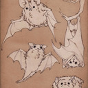 blog logo of Bats and magic