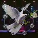 blog logo of The Golden Era of Stevie Nicks