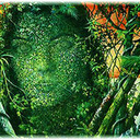 blog logo of World of Ayahuasca