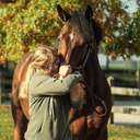 blog logo of Some very bad equine photography