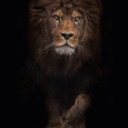 blog logo of I Am Her Lion