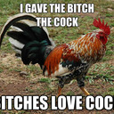 Here Cums The Rooster