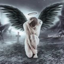 blog logo of ...Fallen angel.......