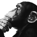 blog logo of THINKING MONKEY